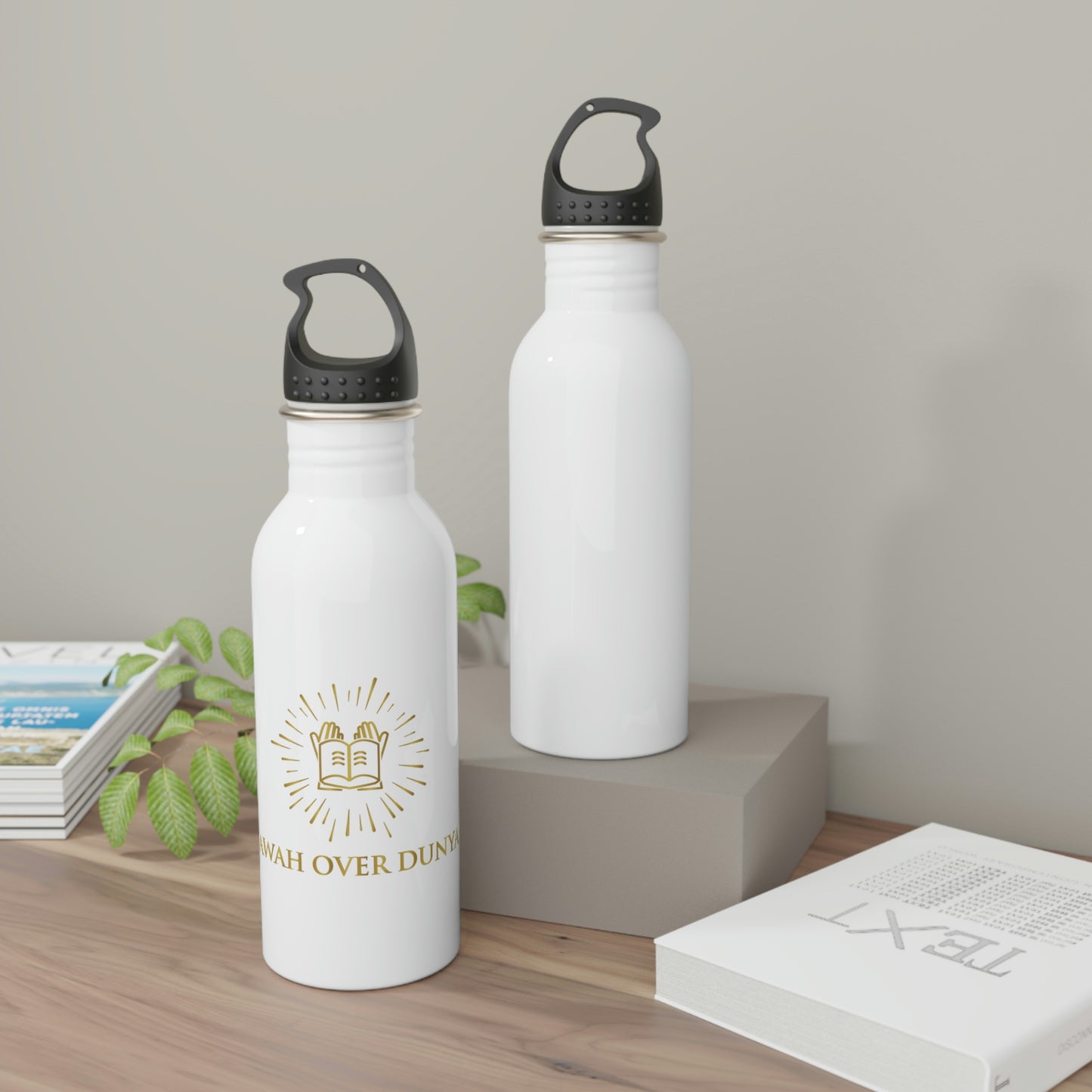 Stainless Steel Water Bottle